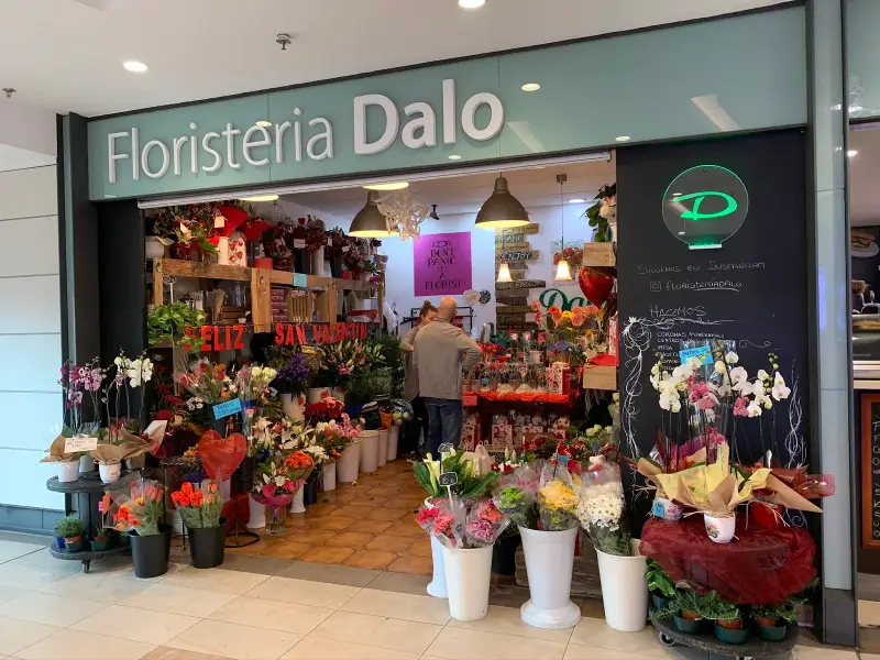 Floristería Dalo - Bild 1