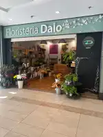 Floristería Dalo - Bild 6