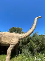 Dinosaurland - Image 10