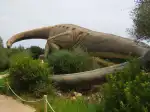 Dinosaurland - Image 2