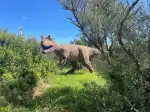 Dinosaurland - Image 10