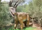 Dinosaurland - Image 3