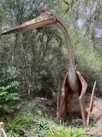 Dinosaurland - Image 8