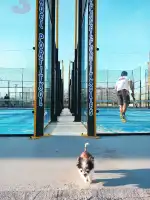 Pádel Portitxol - Bild 9