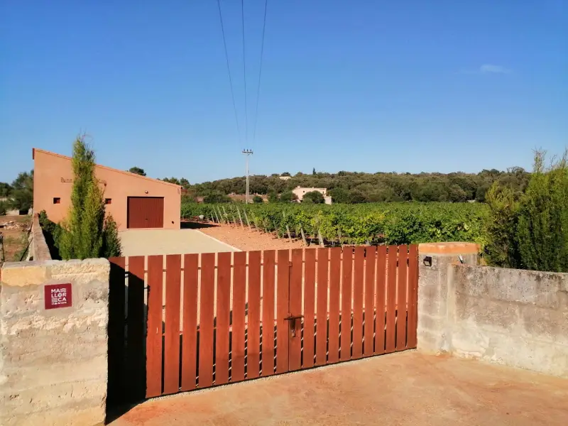 Petit Celler es Cós - Bild 1