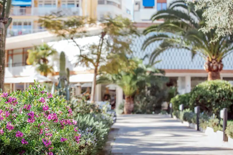 Palma Sport & Tennis Club - Bild 1