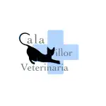 Clínica Veterinaria Cala Millor - Bild 2