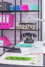 Mallorca Global - Bild 4