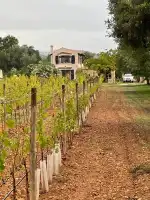 Los Dos Caballeros - Bild 3