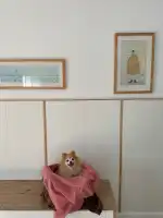 Clínica Veterinaria Portixol - Bild 3