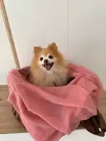 Clínica Veterinaria Portixol - Bild 5