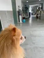 Clínica Veterinaria Portixol - Bild 9