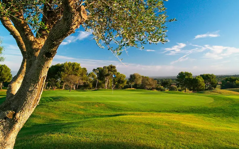 Golf Maioris - Bild 1