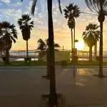 Little Brunch - Imagen 2