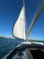 Vela Mayorca - Bild 3