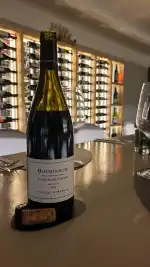 SENSO PALMA - Image 7