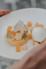 The Donna Portals - Bild 9