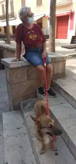 veterinària sa palla - Bild 10