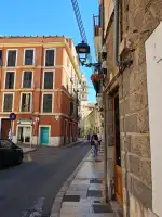 veterinària sa palla - Bild 4