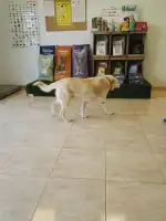 Pèl i Plomes - Bild 10