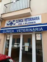 Pèl i Plomes - Bild 4