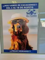 Pèl i Plomes - Bild 8