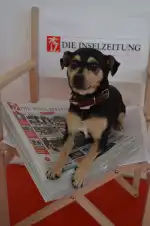 Die Inselzeitung - Image 2