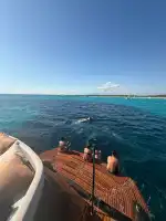 Prime Yachts - Imagen 3