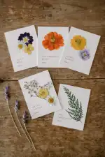 Wedding Design & Events Petra Loose - Bild 6