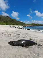 Canis Veterinary Clinic - Bild 10