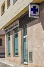 Clínica Veterinaria Inca - Bild 3