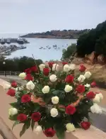 Floristería Girasol - Bild 5