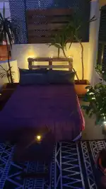 Floristería Girasol - Bild 6