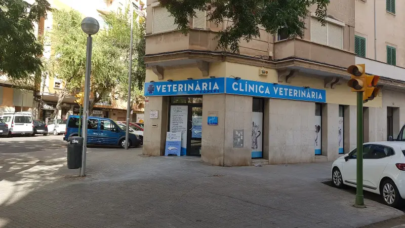 Clínica Veterinària Foners - Bild 1