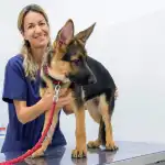 Clínica Veterinària Foners - Bild 2