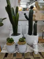 Jardín de Llucmajor SL - Image 10