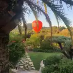 Your Mallorca - Bild 8