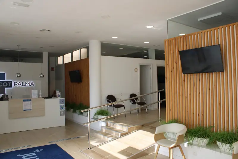 COT PALMA - Imagen 1