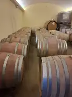 Vi d'Auba Celler - Bild 5