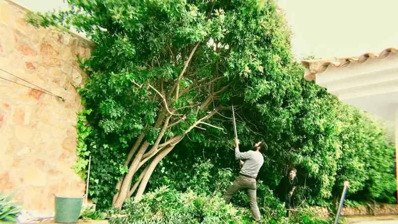 Mallorca Garten - Image 1