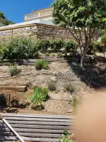 Mallorca Garten - Image 6