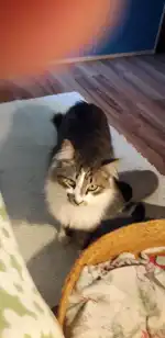 Andrés Burguera Vidal - Bild 2