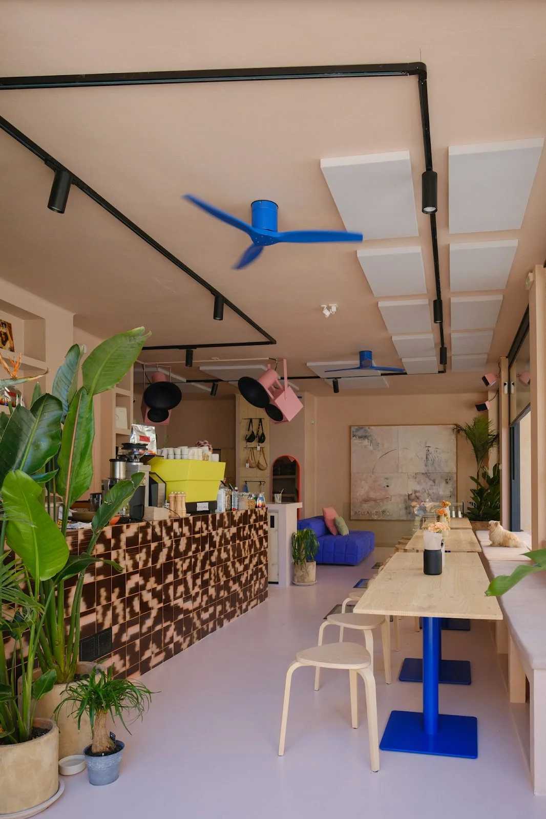 Blue Lemon Café - Image 1