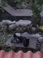 Veterinari Muro - Bild 10