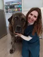 Veterinari Muro - Bild 6