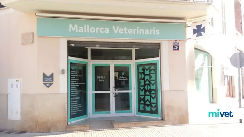 Clínica Veterinaria Llucmajor - Bild 1