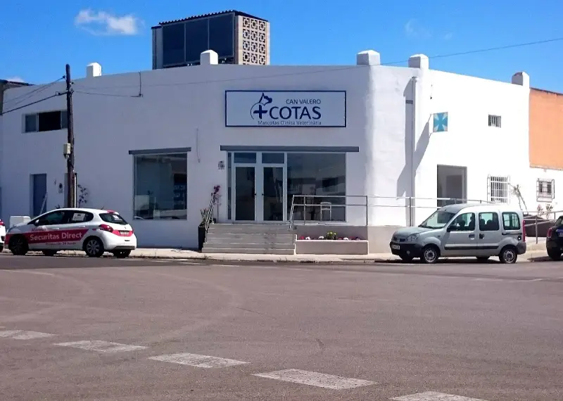 Mascotas Clinica Veterinaria - Bild 1