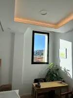 The Movement - Bild 8