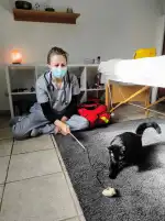 Animals! Serveis Veterinaris - Bild 5