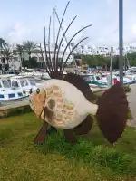 Port Esportiu Marina de Cala d'Or - Image 4